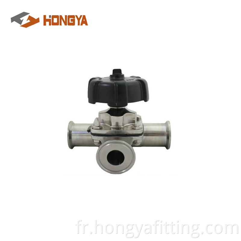 Sanitary Diaphragm Valve